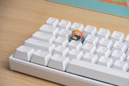 Shark Cat Keycap - ORANGE